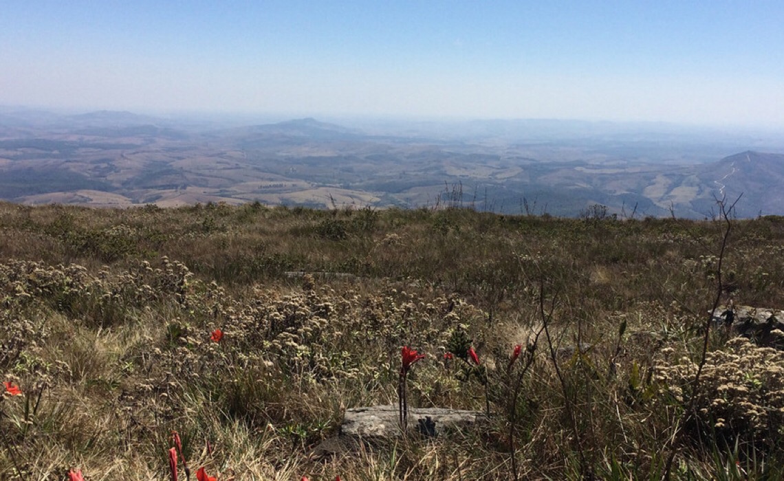 Banco Mundial lança blog sobre biodiversidade celebrando Dia Nacional do Cerrado no Brasil