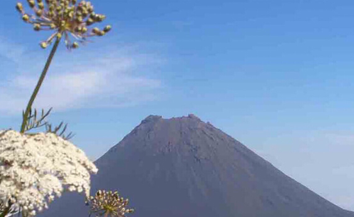 África: OMT recomenda investimento para recuperação sustentável do turismo