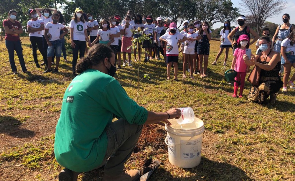 Alunos da rede pública plantam mudas do cerrado na orla do Lago Paranoá
