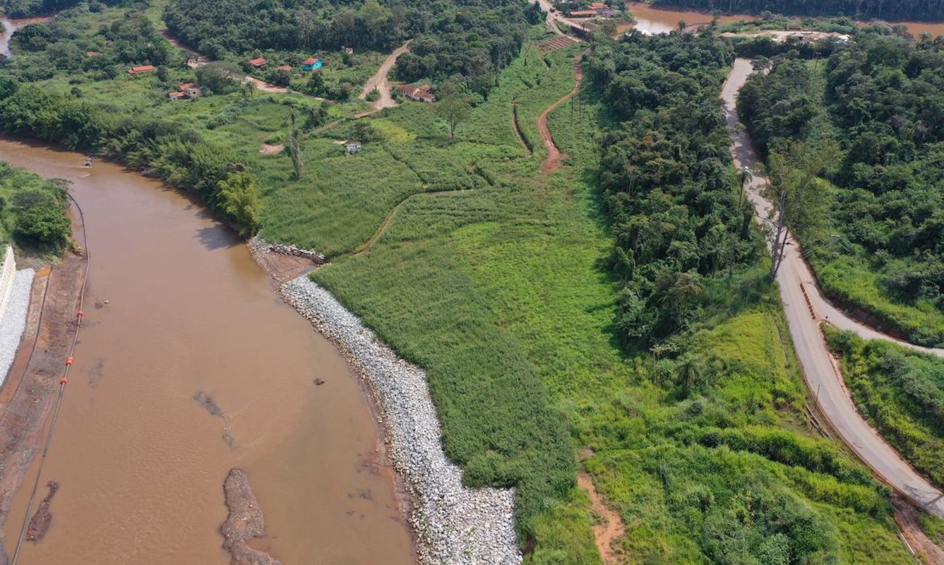 Animais silvestres estão retornando à região de Brumadinho
