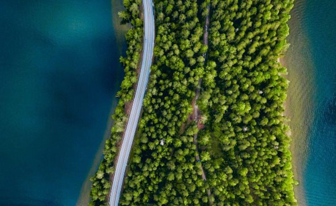 Carbono zero e reciclagem são prioridades em compromissos ambientais