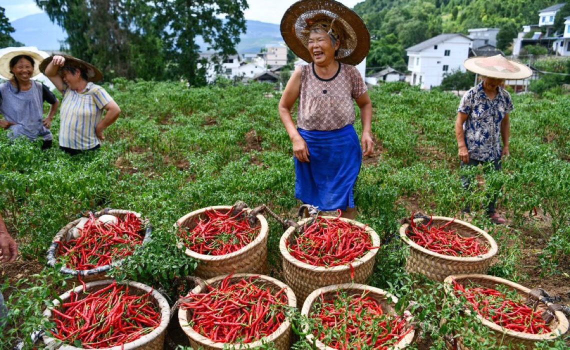 Redução da pobreza da China é 