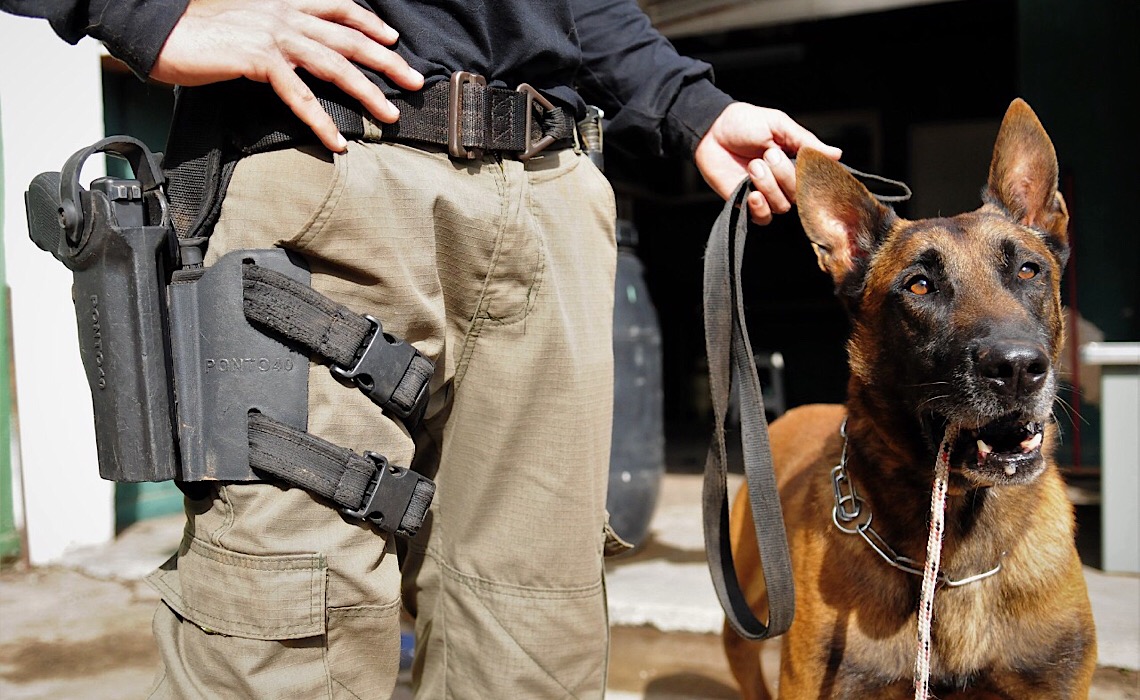 Homenagem aos cães que atuam junto às forças de segurança