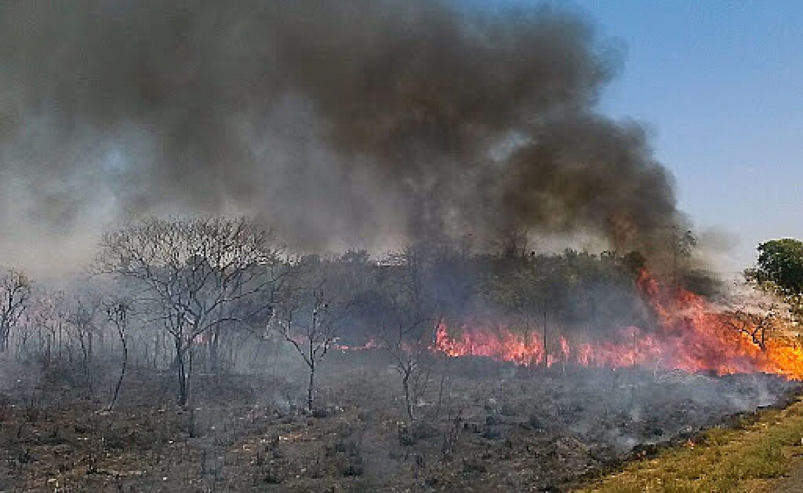 Terra indígena que mais queima em 2021 enfrenta avanço da pecuária, desmatamento e pesca ilegal