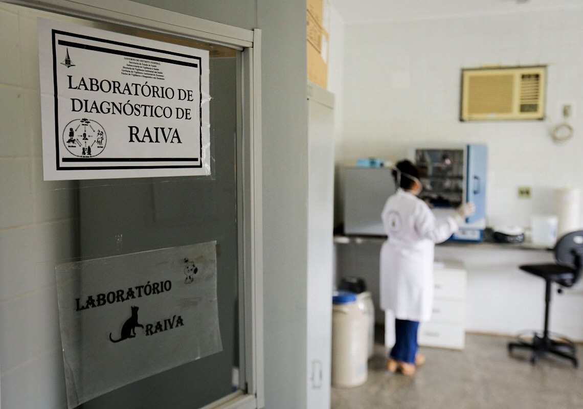 Laboratório do DF é referência nacional e auxilia no controle da raiva