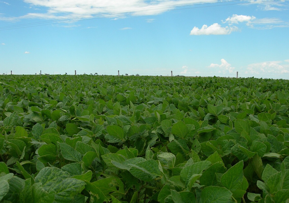 Campanha da Emater-DF orienta sobre uso correto do herbicida 2,4-D