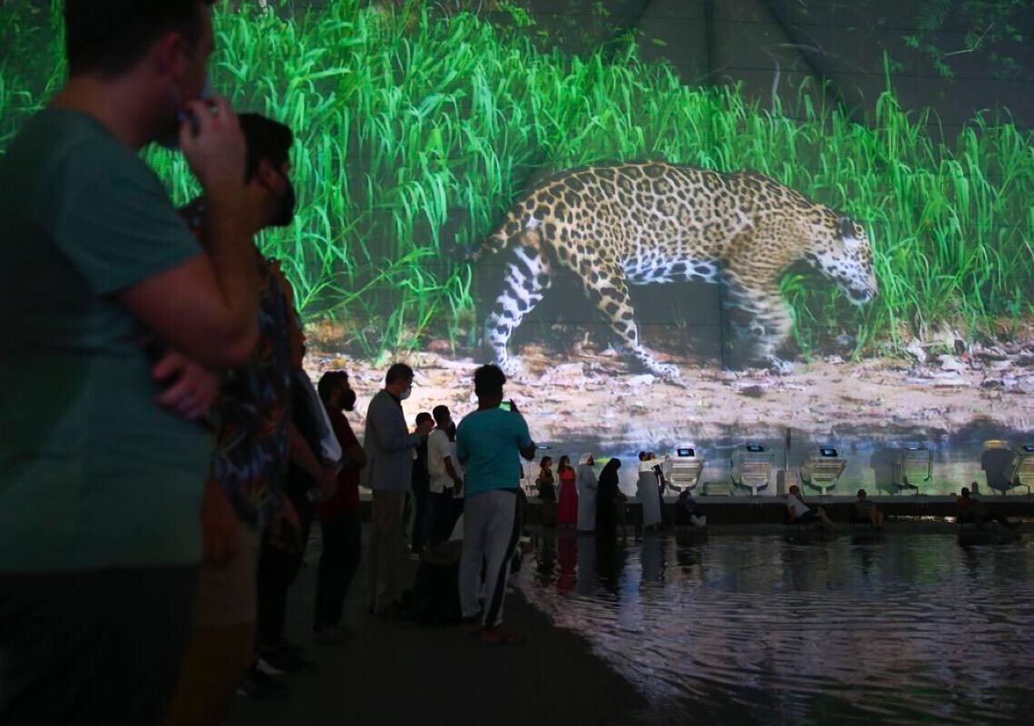 Pavilhão Brasil na Expo Dubai já recebeu 233 mil visitantes