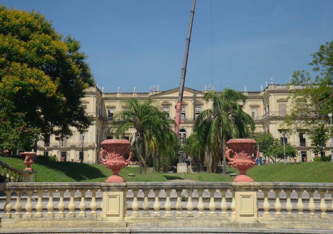 Museu de Coimbra faz doação de moluscos ao Museu Nacional