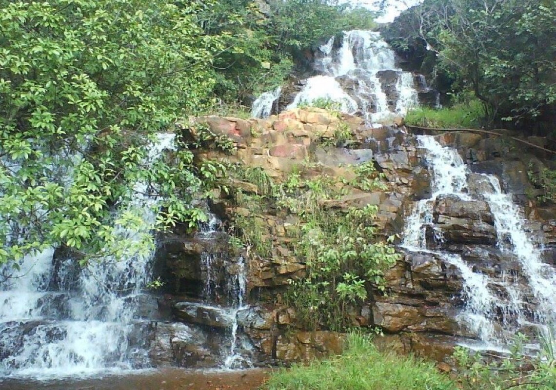 Moradores pleiteiam ações de preservação no Parque Ecológico do Gama