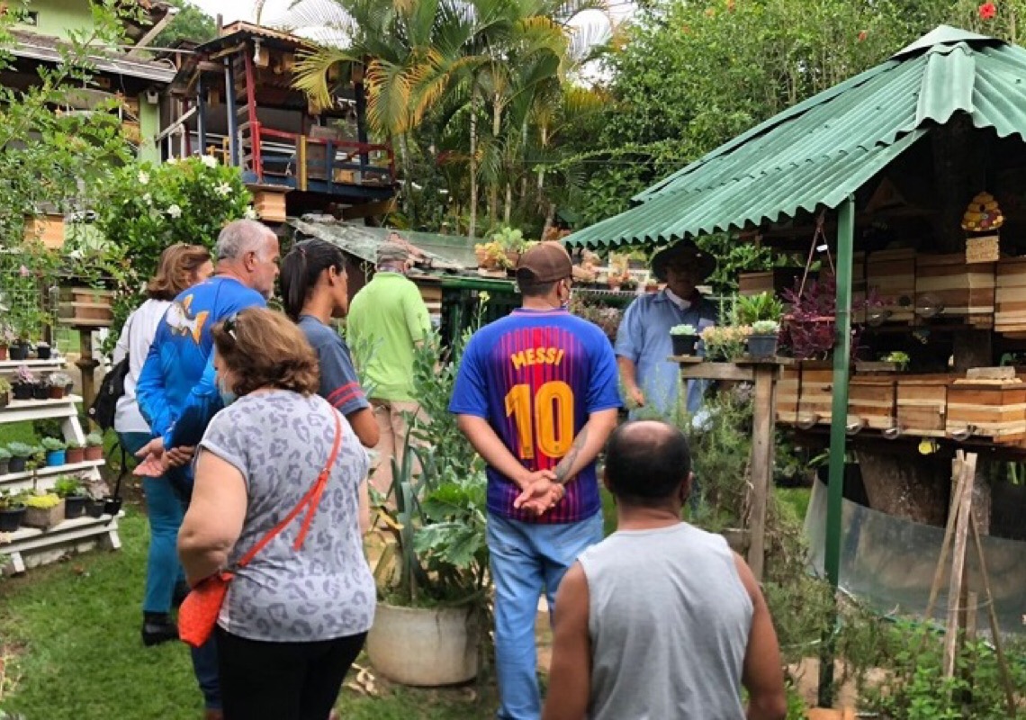 Curso mostra a produtores potencial da apicultura do DF