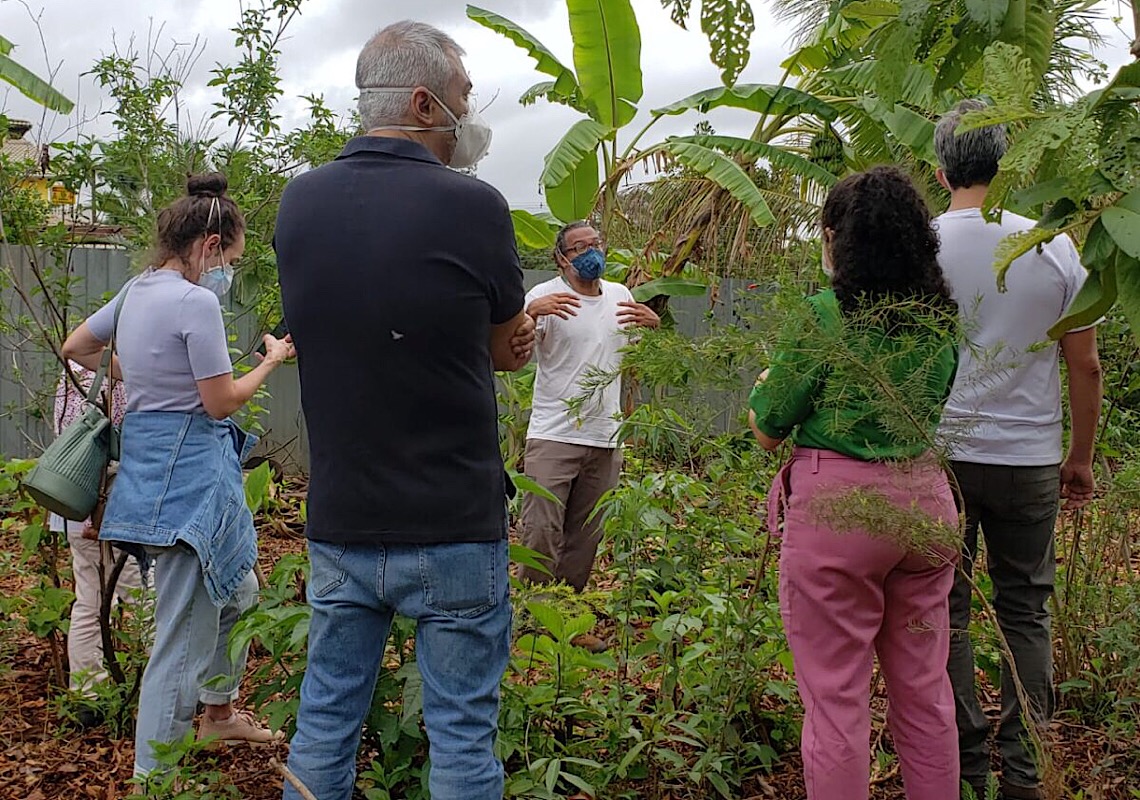 Horta do Lago Norte, uma referência em agricultura urbana