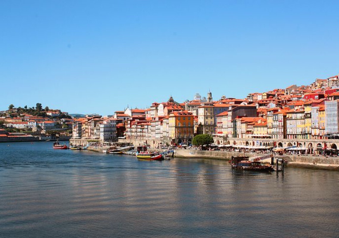 ONG portuguesa lamenta 
