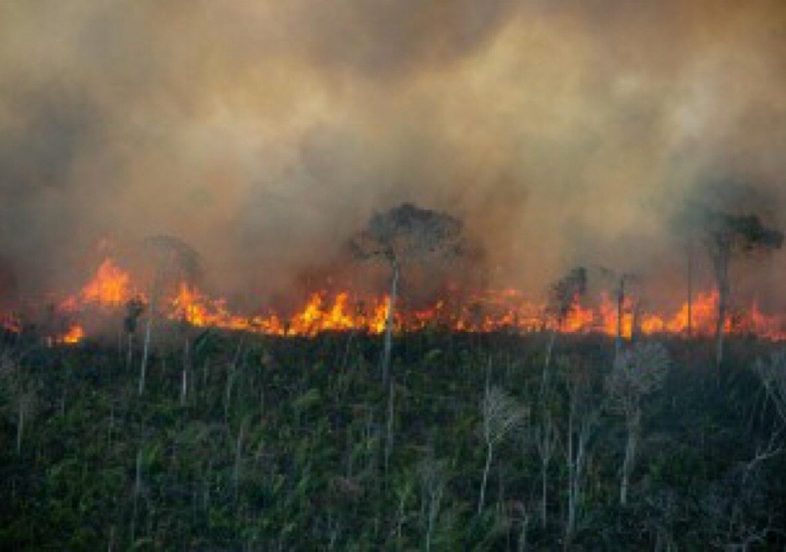 Desmatamento na Amazônia passa de 13 mil km² entre agosto de 2020 e julho de 2021