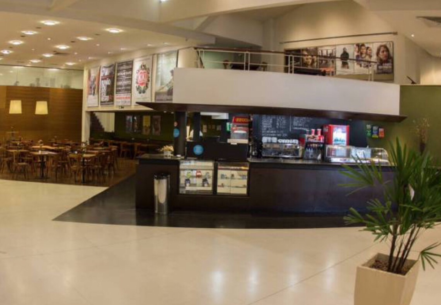 O cinema Estação e o Mico Leão Dourado