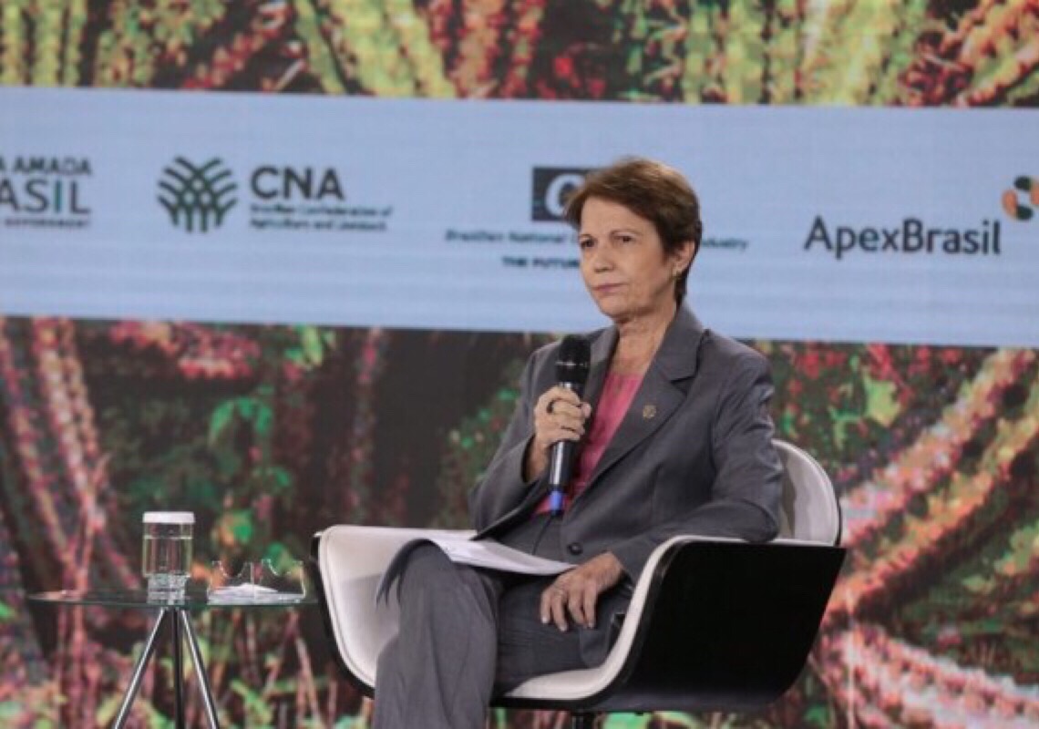 Ministra da Agricultura saúda decisão chinesa de autorizar entrada de carne brasileira