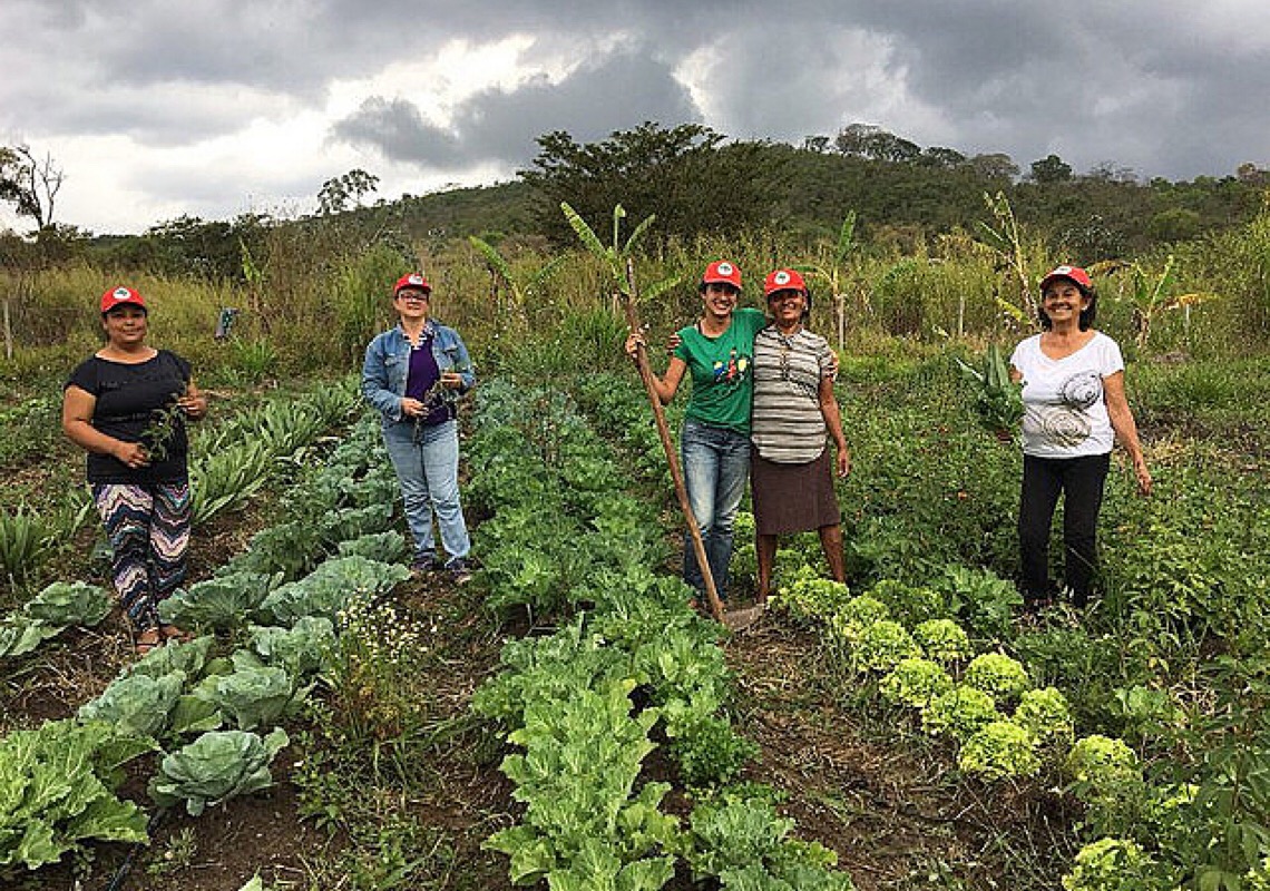 Campanha Natal Sem Fome do MST arrecada recursos para doação de alimentos; Saiba como ajudar