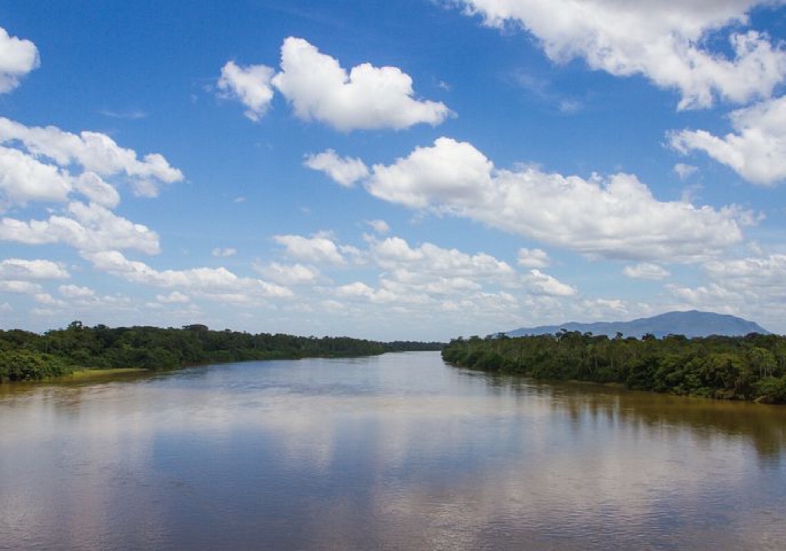Vale a pena criar novo Fundo Amazônia? Especialista responde