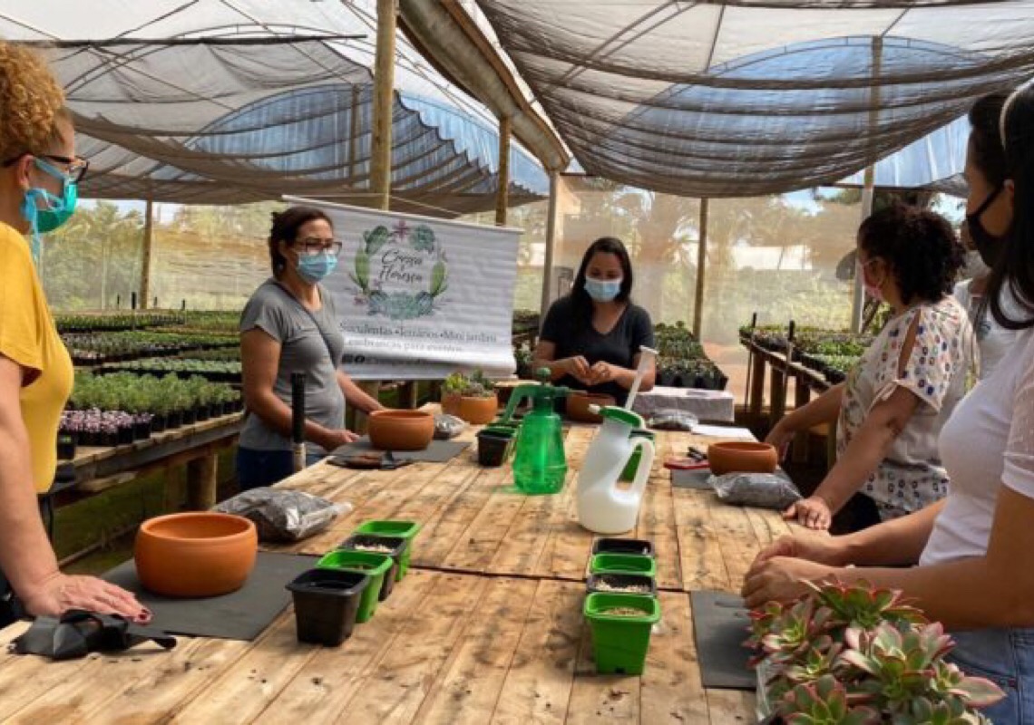Agricultoras do DF ensinam a fazer árvore de Natal e arranjos