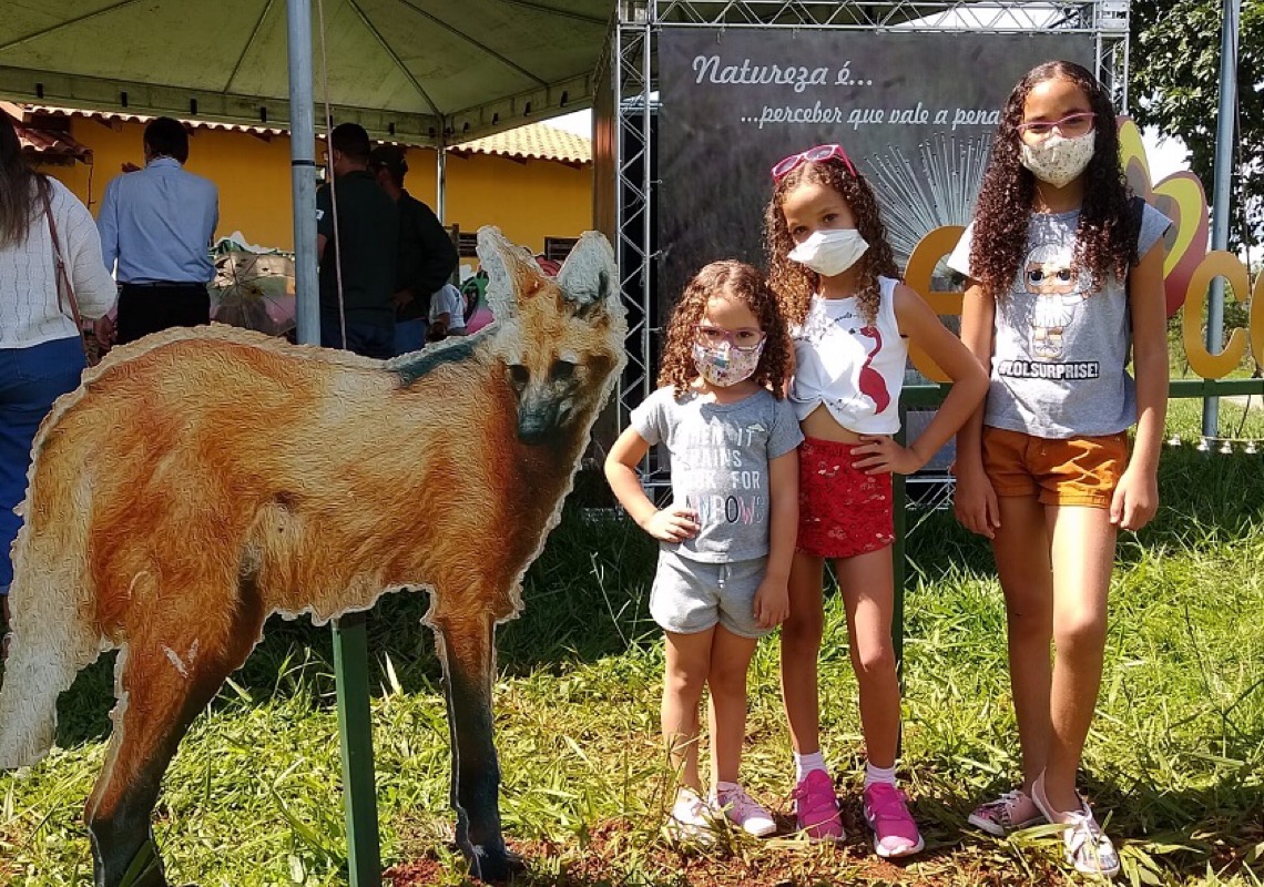 Natal no Cerrado une espírito festivo e meio ambiente
