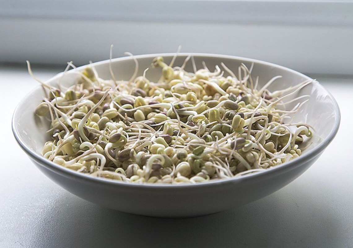 Entenda como o consumo de grãos germinados pode aumentar a absorção de nutrientes no organismo