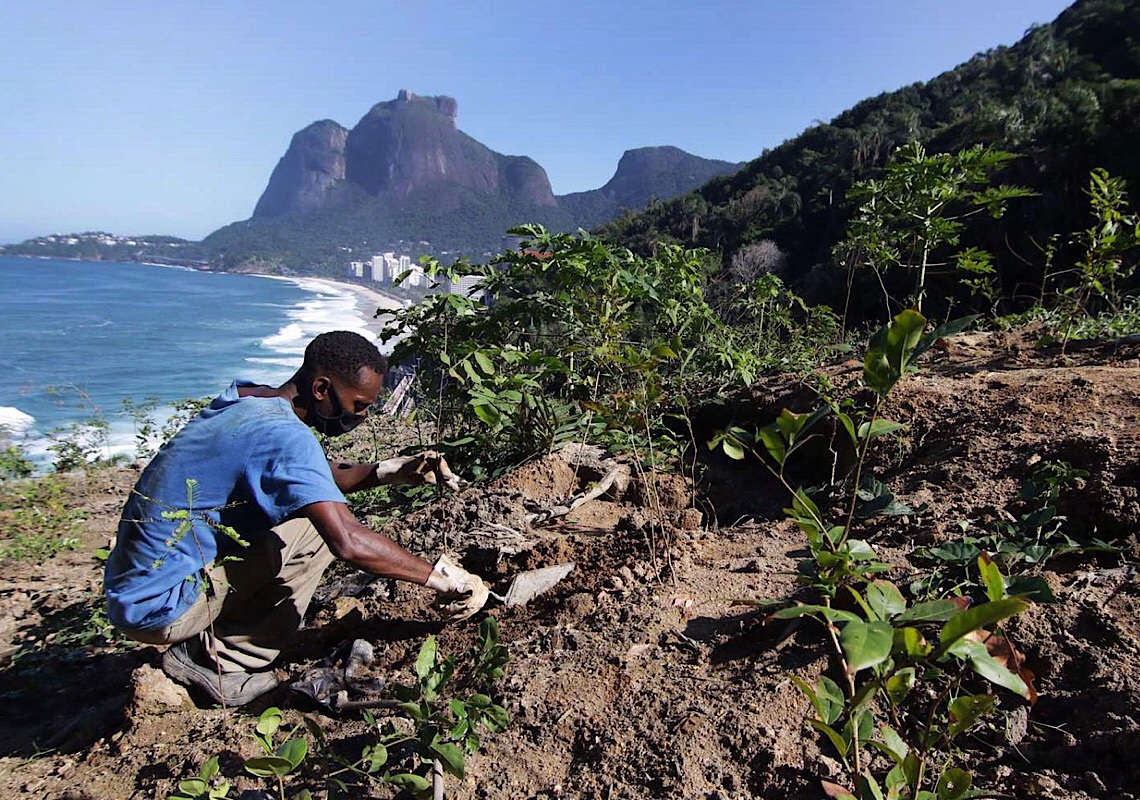 Ações visam o reflorestamento e restauração de mata nativa