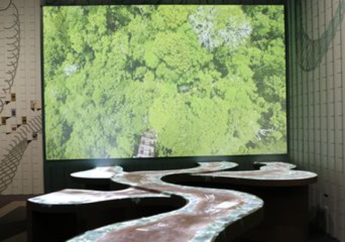 Museu do Amanhã apresenta a visitantes maior bioma tropical do mundo