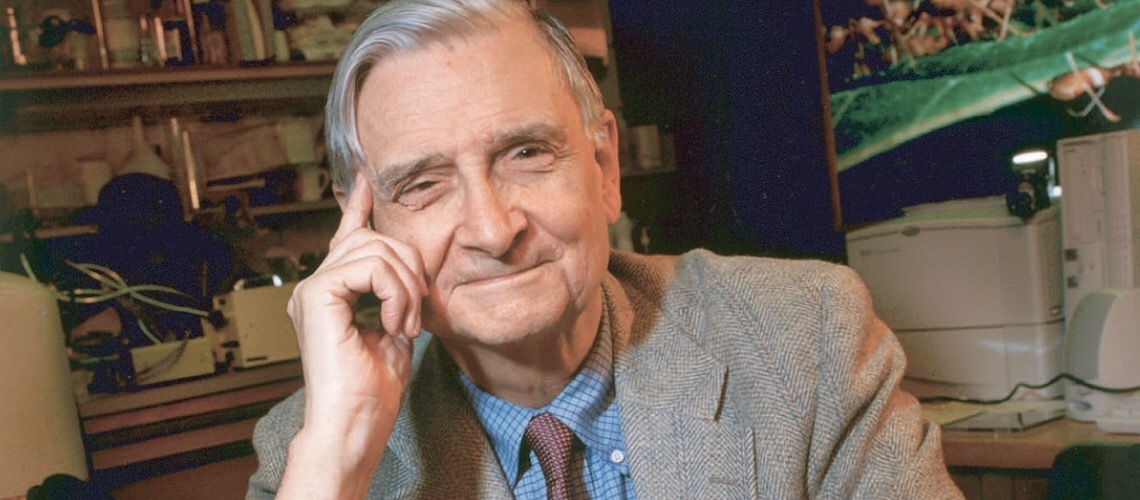 Morre aos 92 anos E.O. Wilson, naturalista visto como o Darwin moderno