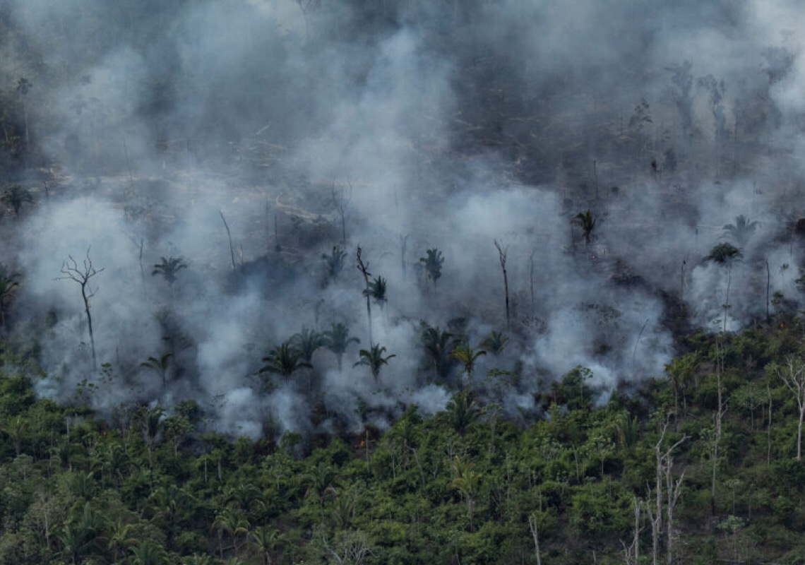 Retrospectiva 2021: Na área ambiental, ano foi marcado pela destruição