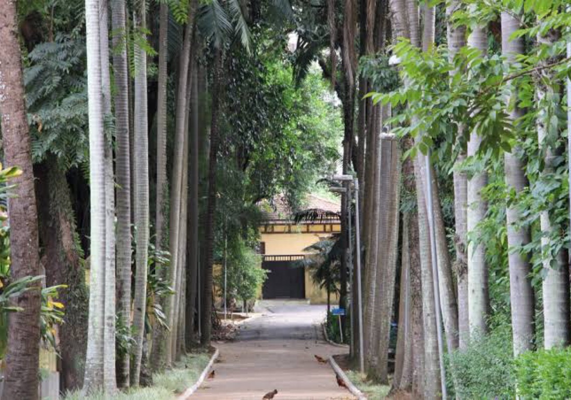 SP autoriza concessão dos parques Água Branca, Villa-Lobos e Cândido Portinari