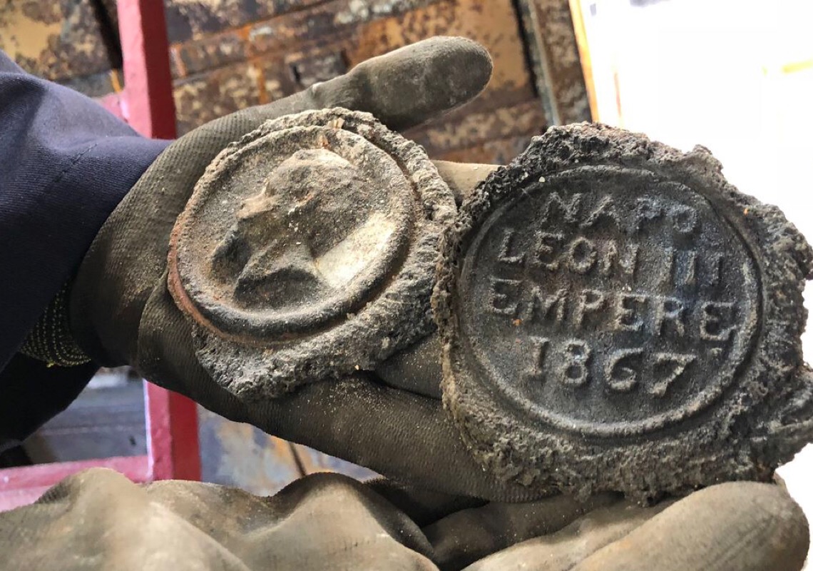 Museu Nacional receberá tubarão-martelo encontrado no Rio de Janeiro