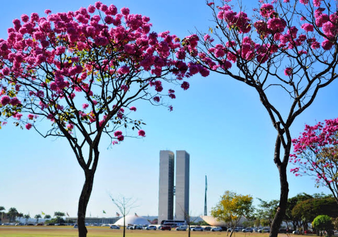 O carnaval do Distrito Federal de 2022 está cancelado