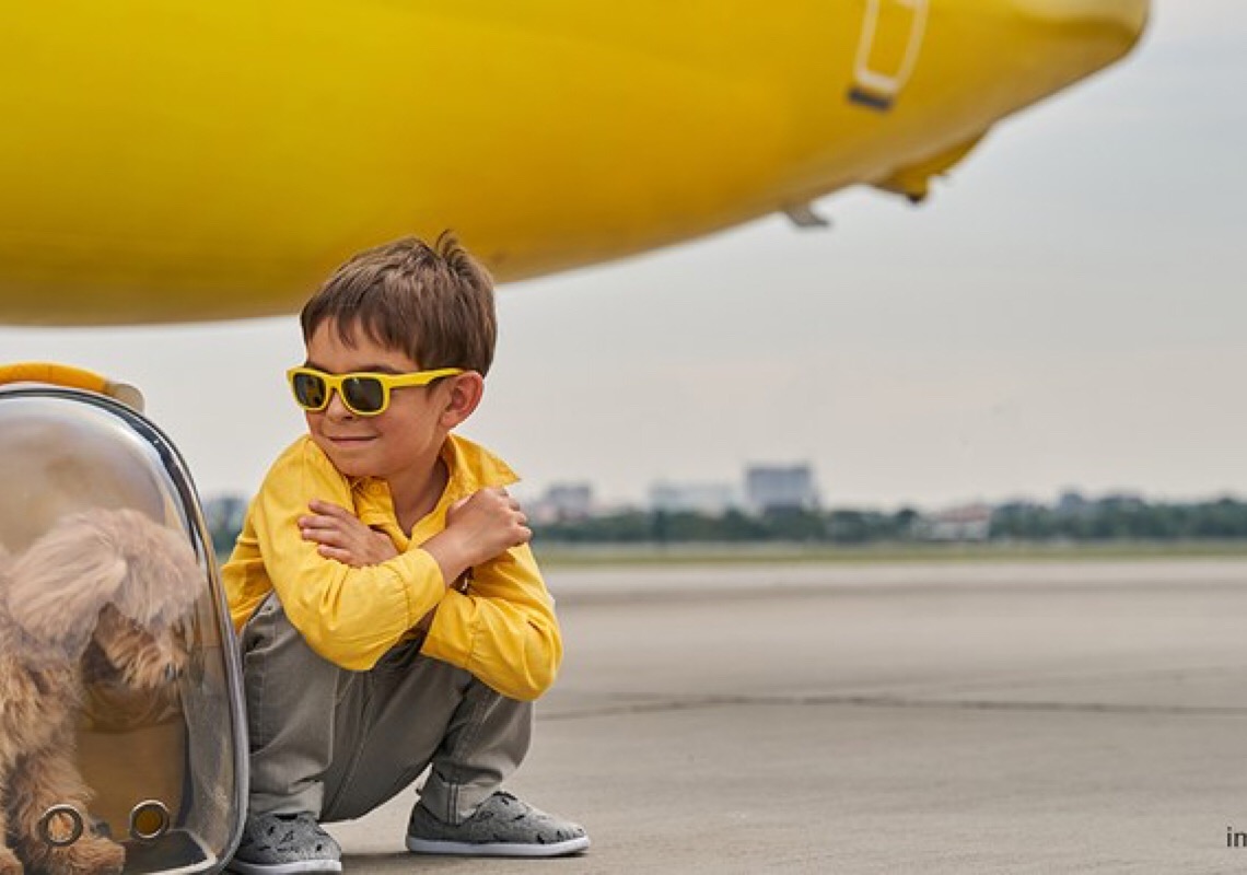 Companhia aérea é condenada a embarcar autista e cão de assistência emocional em voo