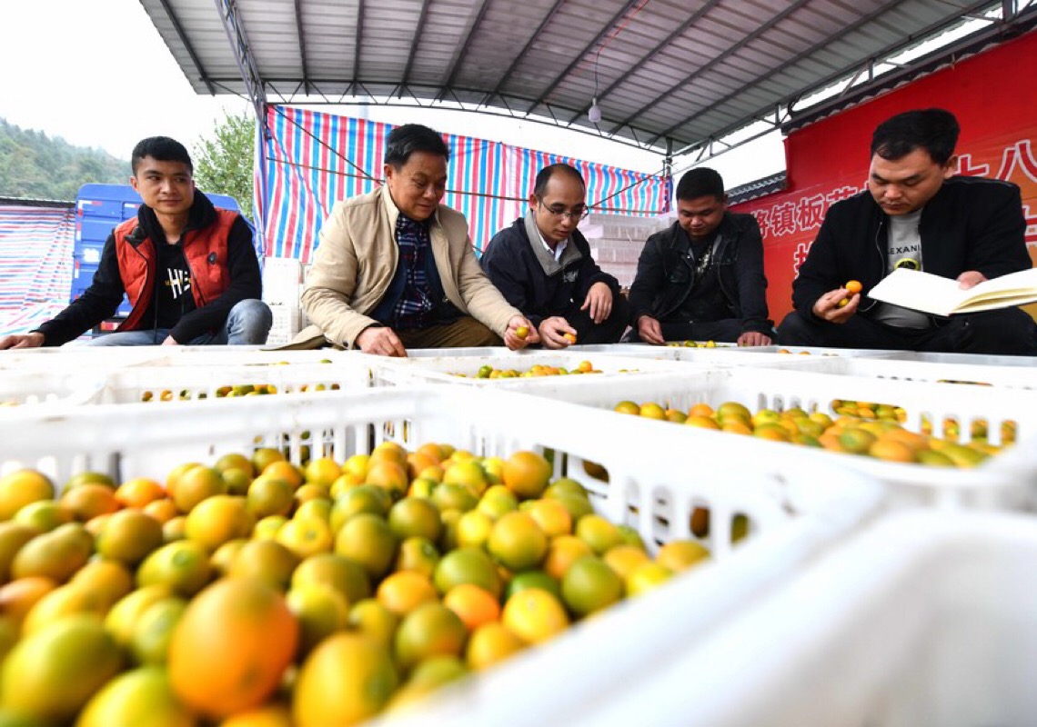 China se esforça para tornar sistema de alimentos mais verde e sustentável, diz funcionário
