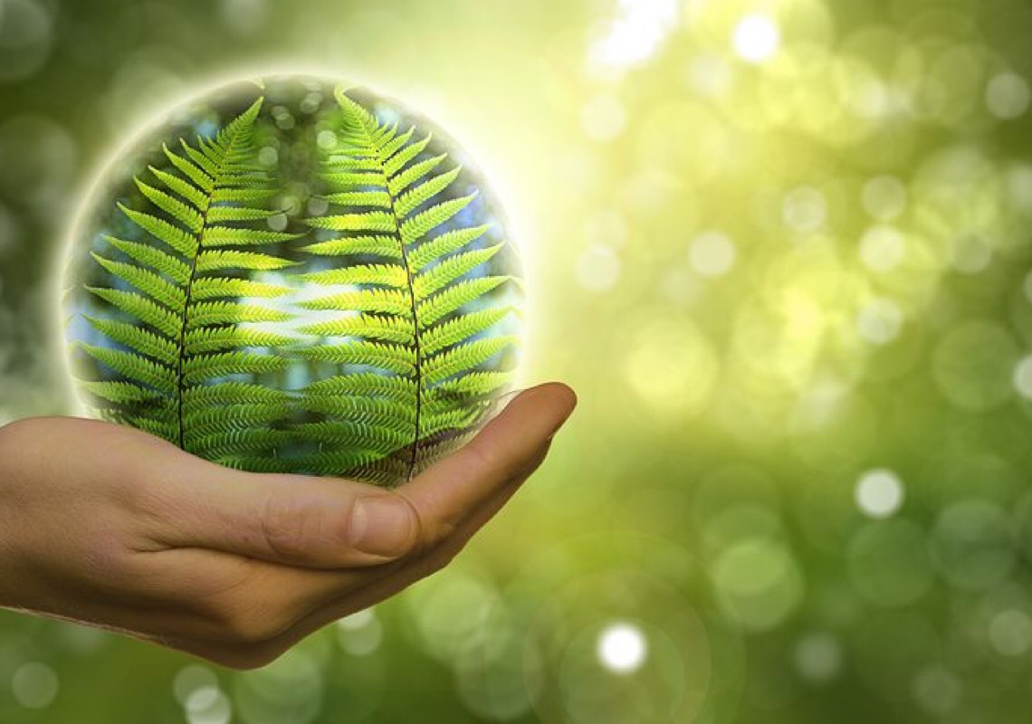 China fortalecerá indústria de equipamentos de proteção ambiental