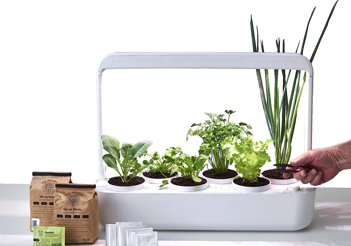 Startup de agricultura urbana lança horta inteligente para quem deseja cultivar seu próprio alimento em casa