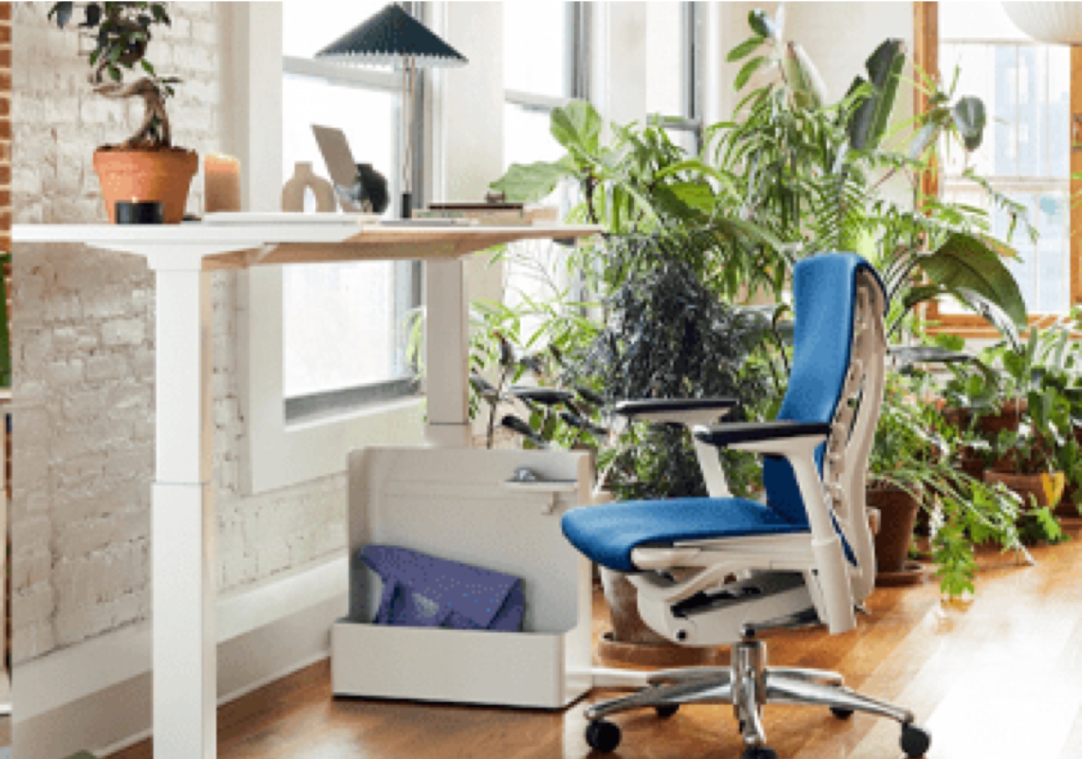 Home Office: 4 dicas de ergonomia e autocuidado