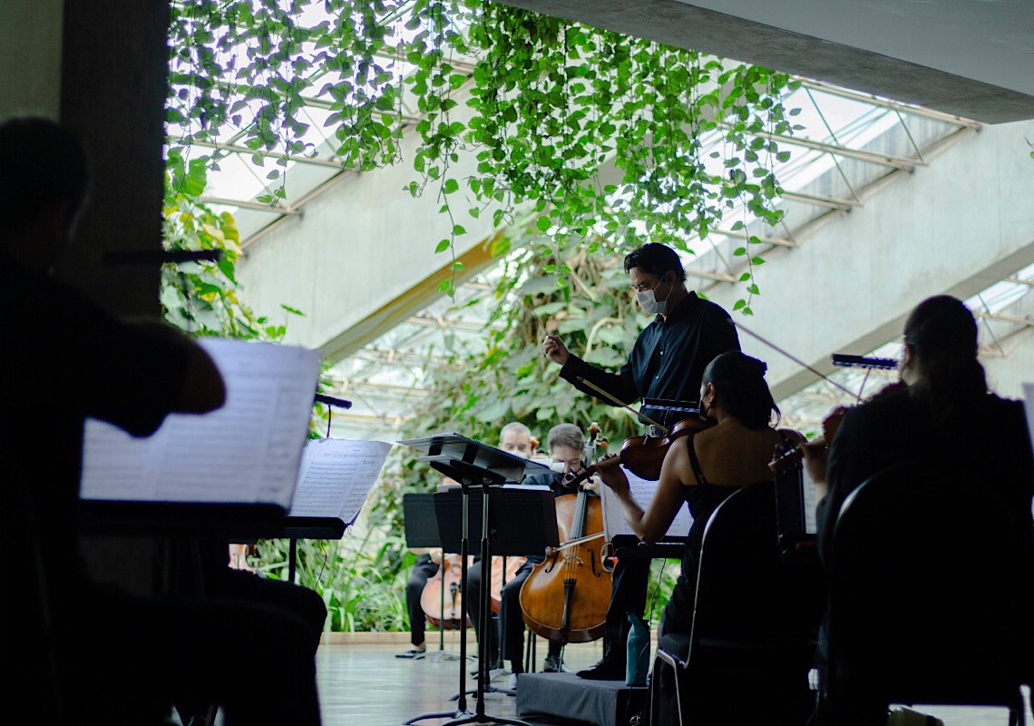 Orquestra Sinfônica de Brasília retoma apresentações presenciais