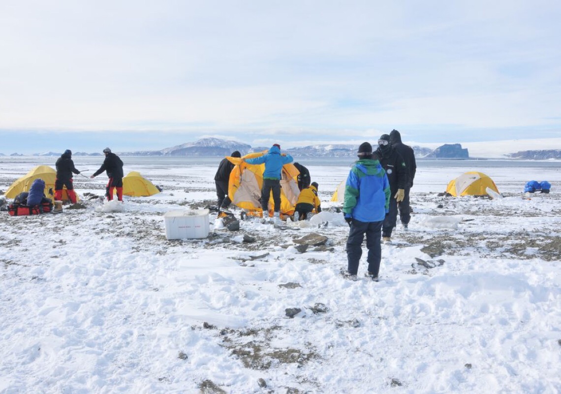 Antártica: Micróbios podem ajudar limpeza de plásticos