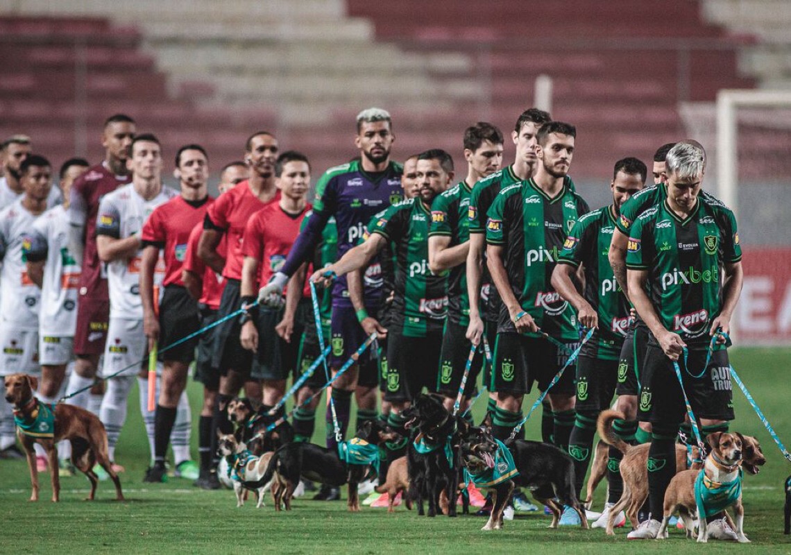 Jogadores entram com cães para adoção em partida do Campeonato Mineiro