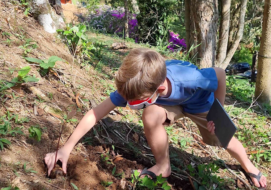 Com apenas 10 anos, morador de Niterói cria jogo sobre sustentabilidade e meio ambiente