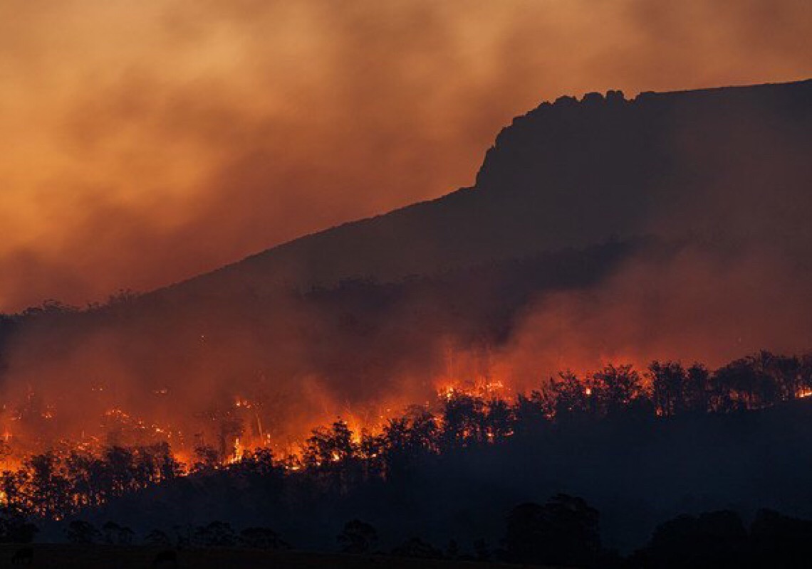 Incêndios, poluição sonora e desordens no ciclo da vida ameaçam meio ambiente
