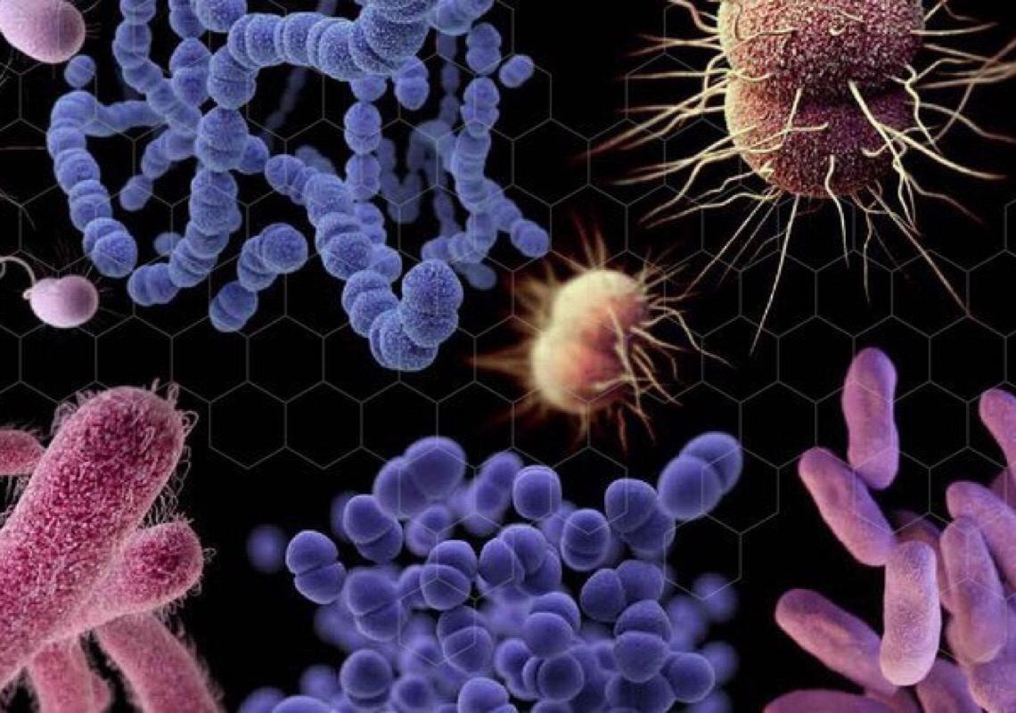 Nova pandemia pode ser causada por superbactérias em águas sem tratamento, alerta Pnuma
