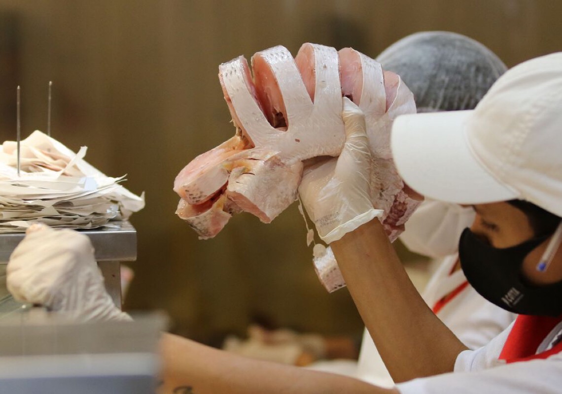 Além de tradição, pescado é opção econômica para a Semana Santa