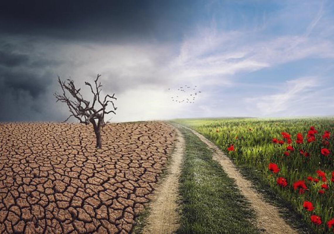 Mudança climática é alerta para diferentes setores da economia