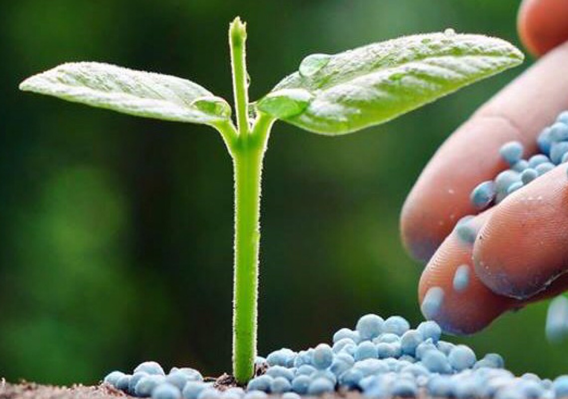 Setor de fertilizantes especiais cresce 41,8% em 2020