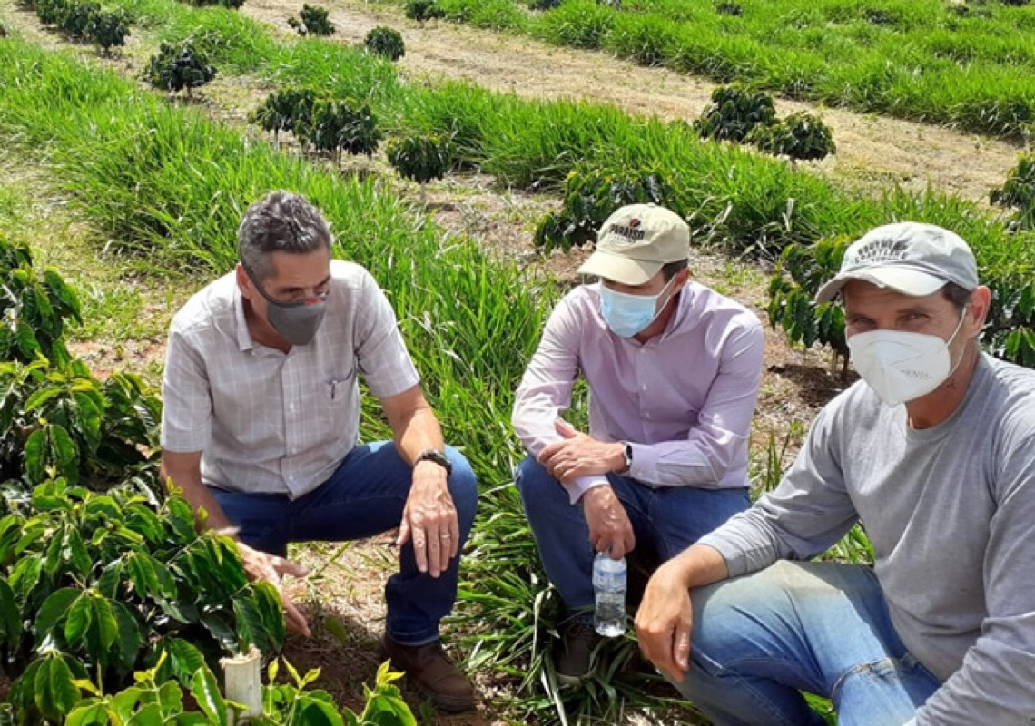 Mês da Terra: Como a agricultura regenerativa beneficia o planeta