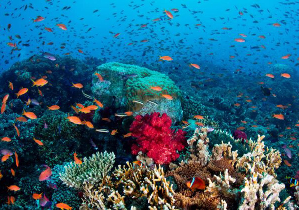 Inscrições para prêmio da Unesco no Brasil sobre notícias e fotos de oceanos terminam este domingo