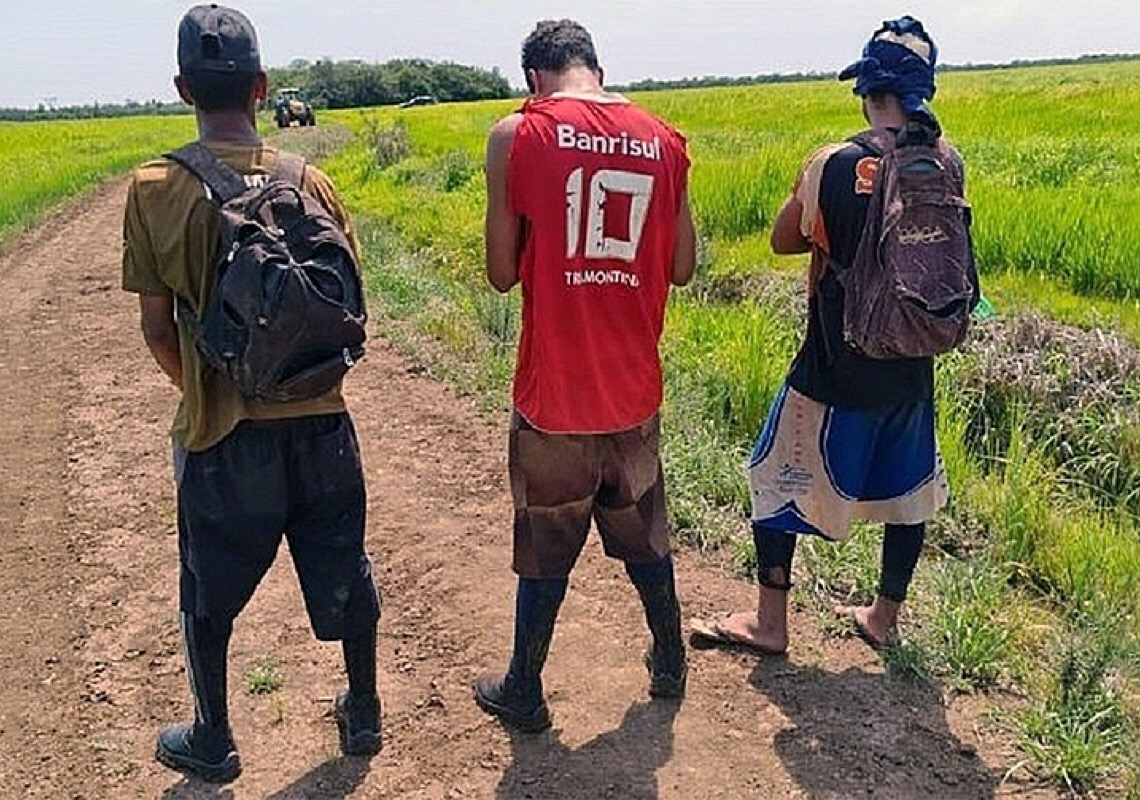 Com 500 resgatados neste ano, número de vítimas do trabalho escravo supera 58 mil desde 1995