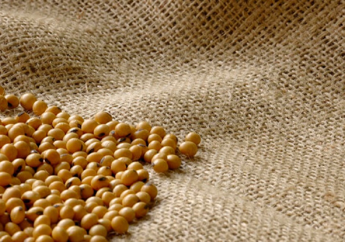 Embrapa Cerrados e Fundação Bahia fazem pré-lançamento de cultivar de soja resistente a estresse hídrico