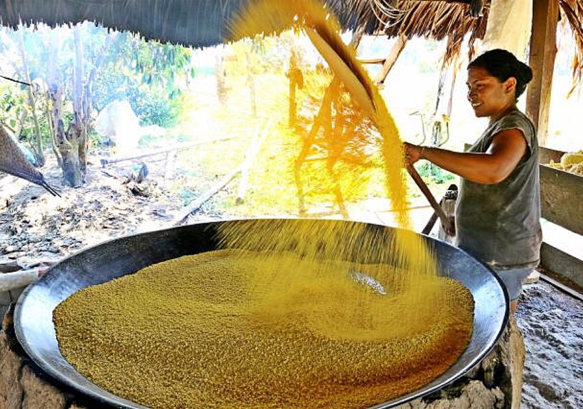 Farinha de mandioca da Amazônia: Produção artesanal e floresta em pé